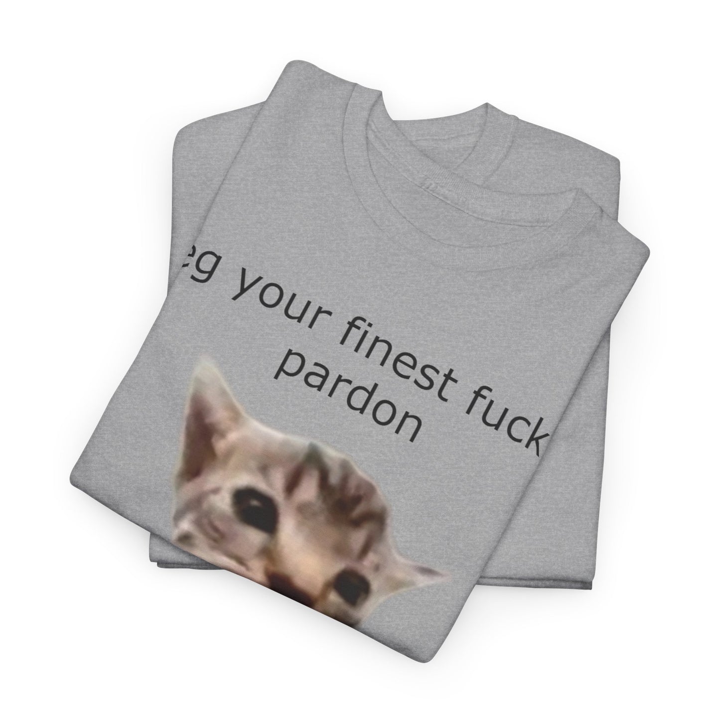 'I Beg Your Finest Fucking Pardon' Tee