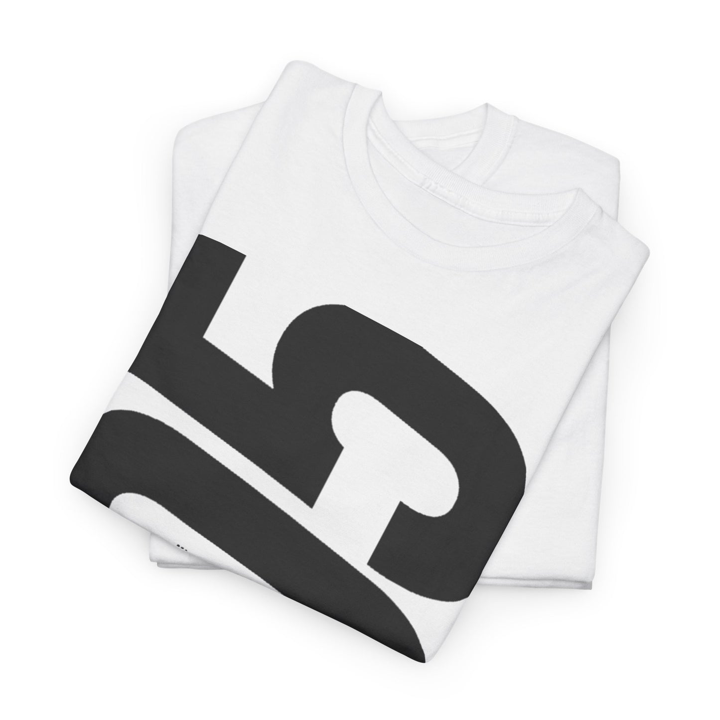 505 Vertical Graphic Tee - Artic Monkeys