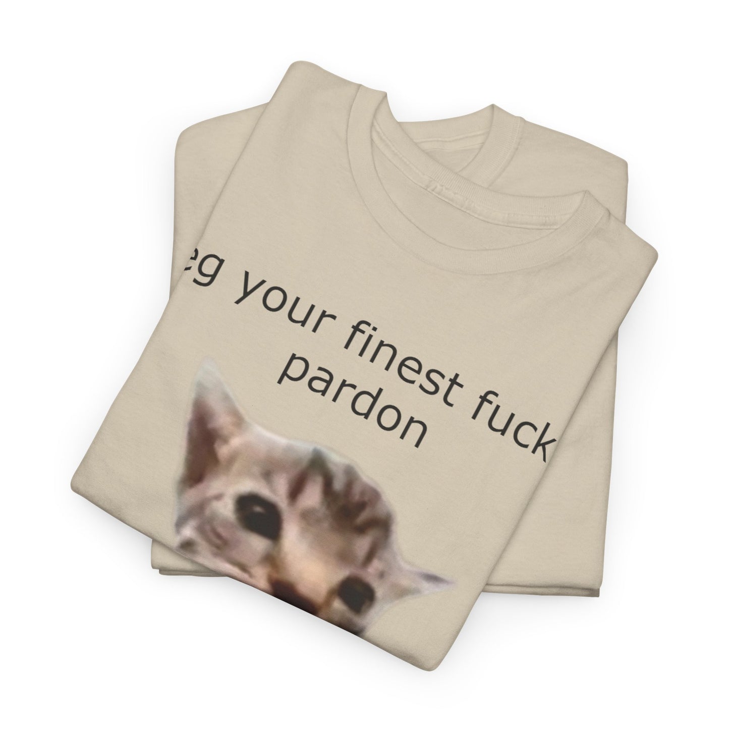 'I Beg Your Finest Fucking Pardon' Tee