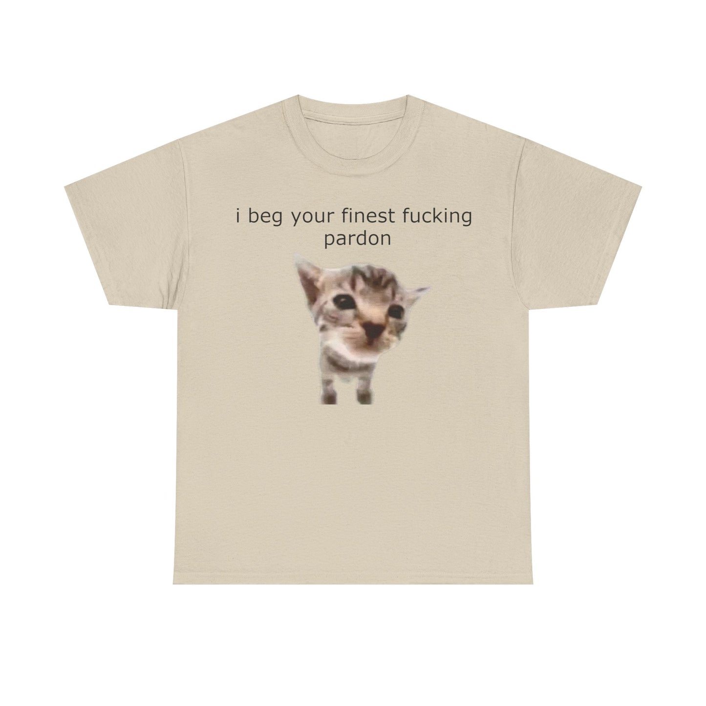 'I Beg Your Finest Fucking Pardon' Tee