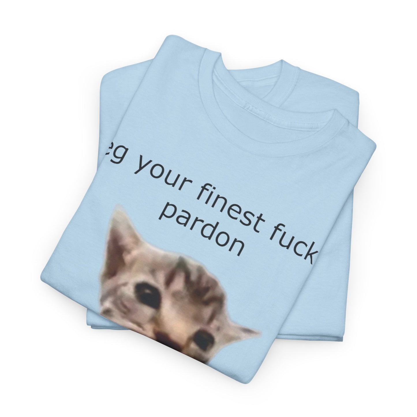 'I Beg Your Finest Fucking Pardon' Tee