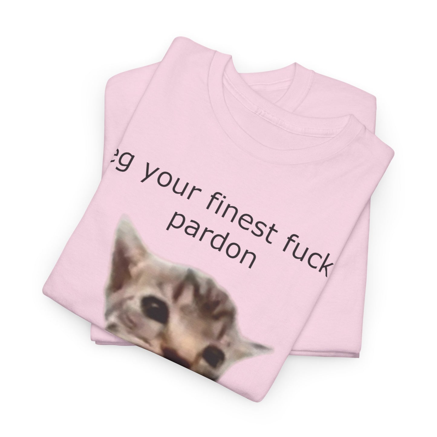 'I Beg Your Finest Fucking Pardon' Tee