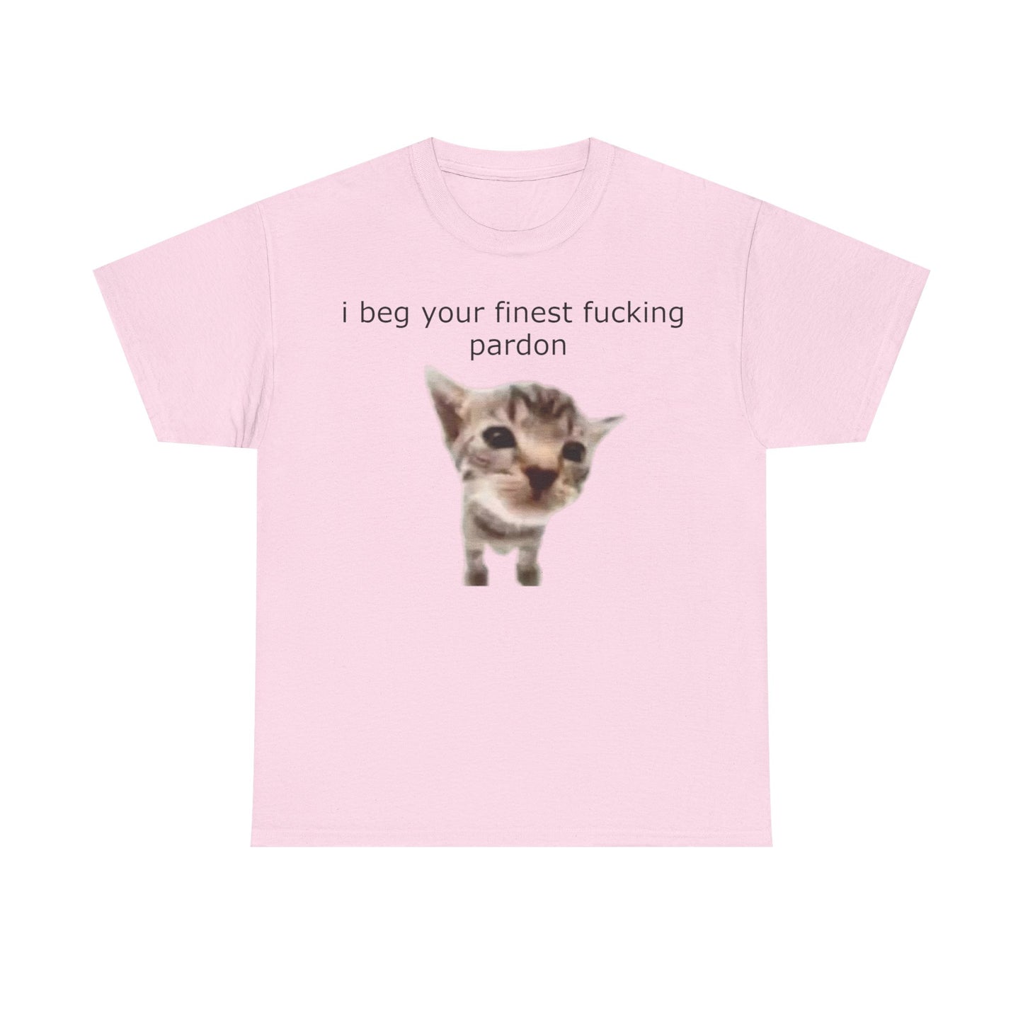 'I Beg Your Finest Fucking Pardon' Tee