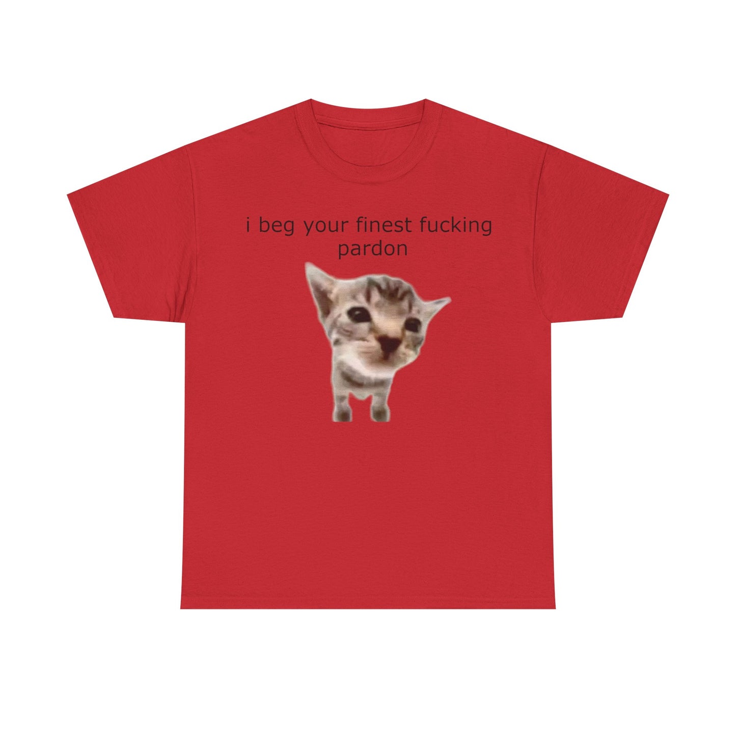 'I Beg Your Finest Fucking Pardon' Tee