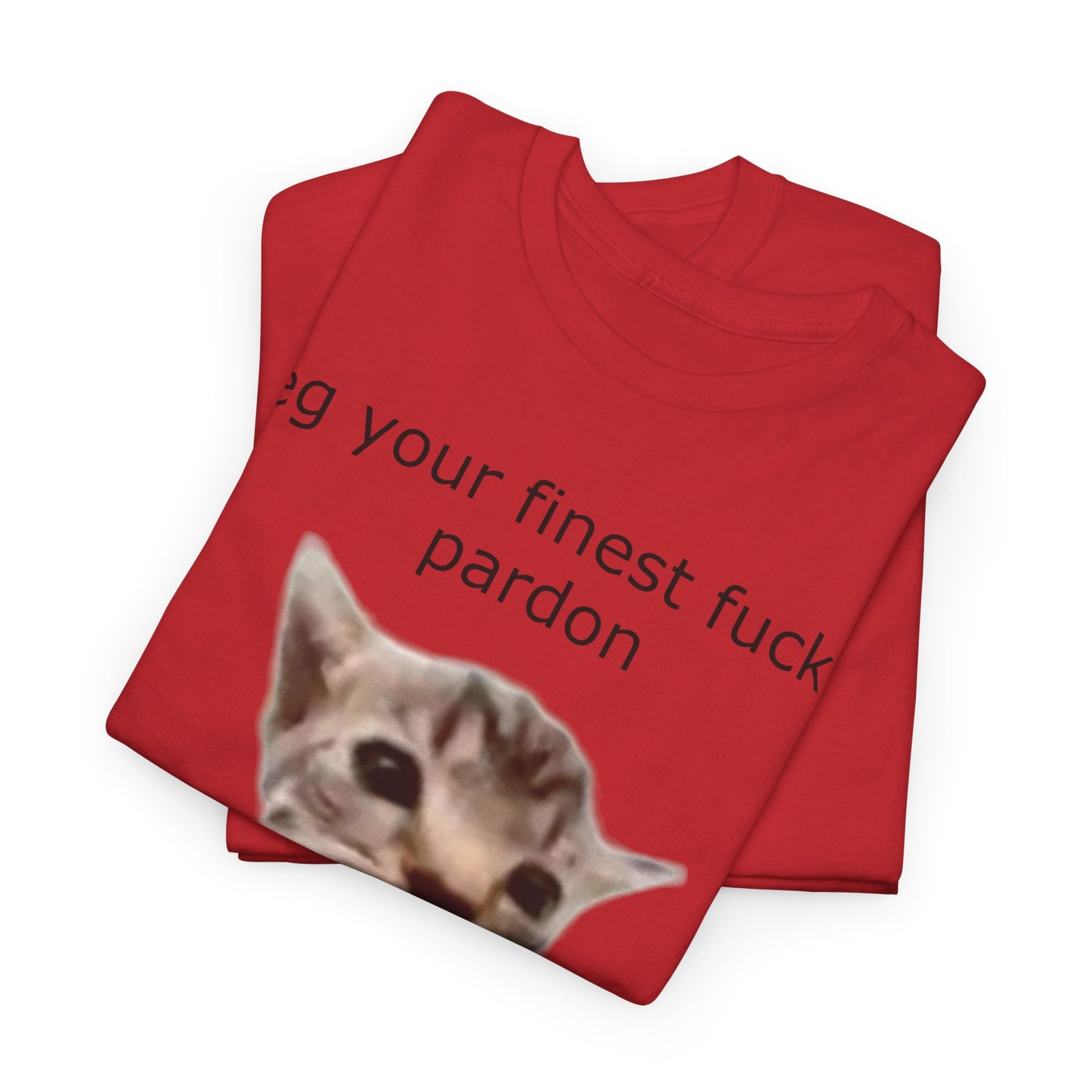 'I Beg Your Finest Fucking Pardon' Tee