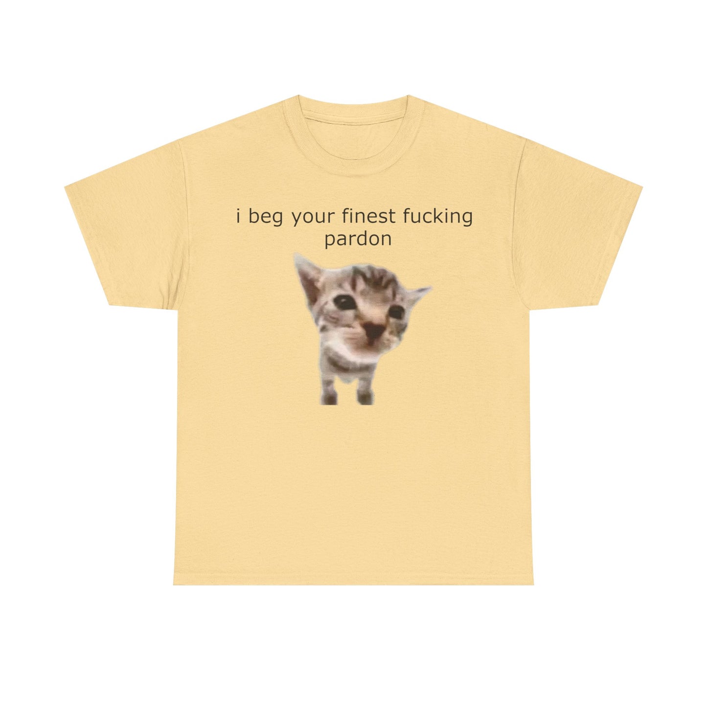 'I Beg Your Finest Fucking Pardon' Tee