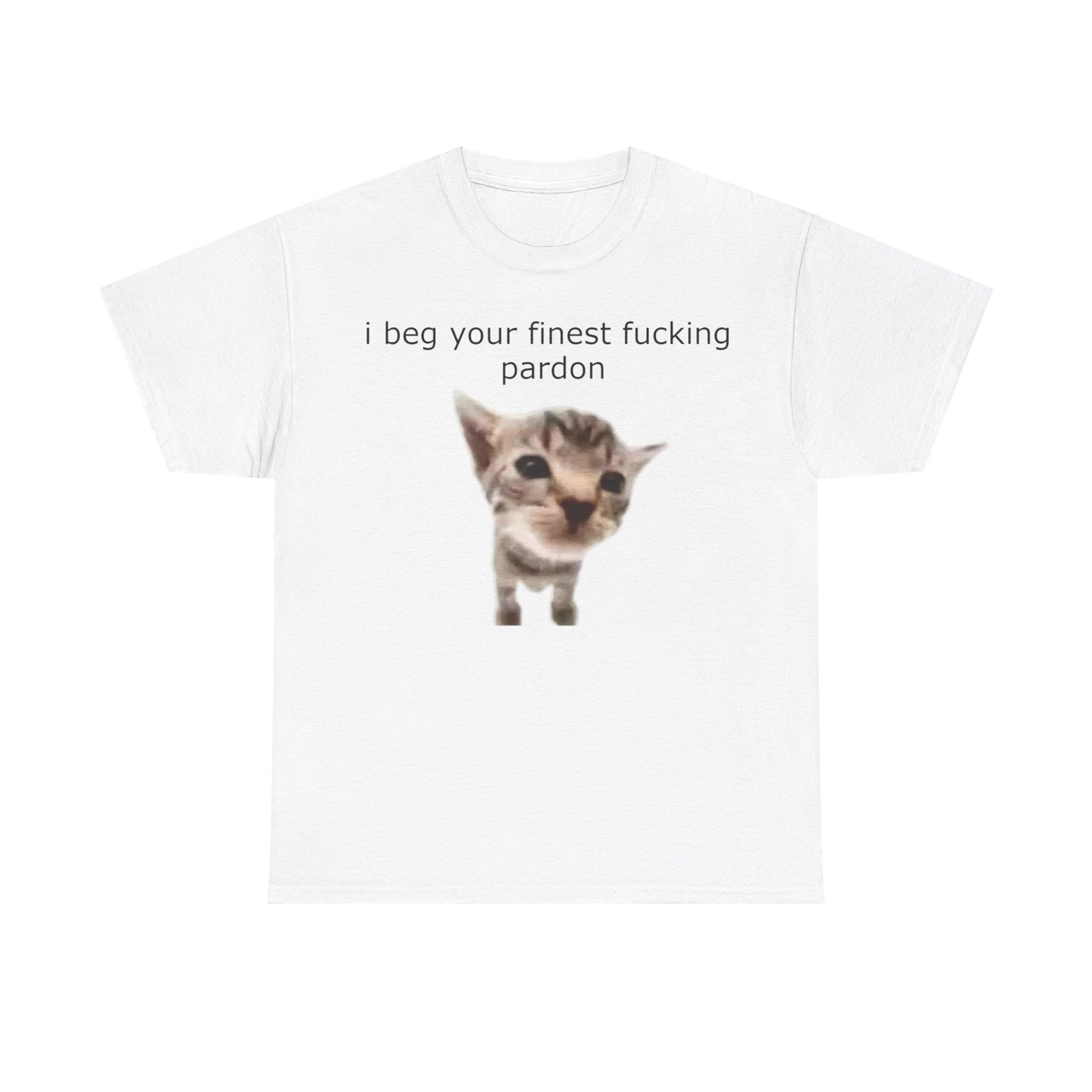 'I Beg Your Finest Fucking Pardon' Tee